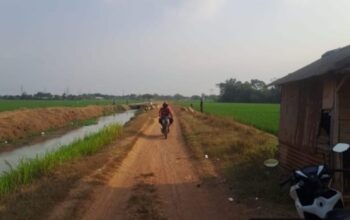 Jalan Rusak, Ketahanan Pangan Dipertaruhkan: Gotong Royong Warga Menutupi Kelalaian Pemerintah