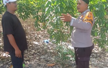 Bhabinkamtibmas Menggala Perkuat Ketahanan Pangan Bersama Petani