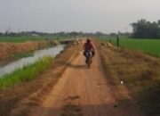 Jalan Penghubung Kaliaren–Tanjung Asem Rusak, Distribusi Hasil Panen Terganggu