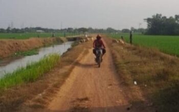 Jalan Penghubung Kaliaren–Tanjung Asem Rusak, Distribusi Hasil Panen Terganggu