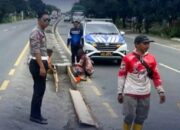 Polisi Belum Tetapkan Tersangka Kecelakaan Maut Pantura Lohbener