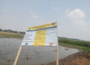 Pantauan Lapangan: Proyek Rehabilitasi Jalan Usaha Tani di Desa Rawagede II Diduga Tak Sesuai Spesifikasi