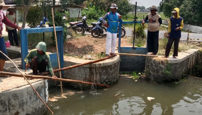 Pemdes Tegalurung Bersama Warga Giat Bersihkan Saluran Irigasi, Jamin Kelancaran Pengairan Lahan Pertanian