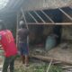 Swadaya Masyarakat, Rumah Pak Kasta di Subang Akhirnya Diperbaiki